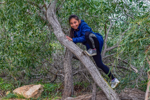 Adolescent girl joyfully moving by climbing a tree